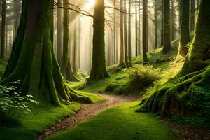 a path through a forest with mossy trees. AI-Generated photo