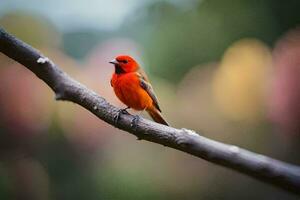 a red bird sitting on a branch. AI-Generated photo