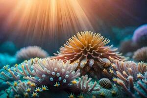 the sun shines through the sea and coral. AI-Generated photo