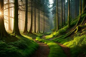 a path through a forest with trees and grass. AI-Generated photo