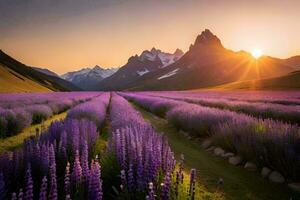 the sun rises over lavender fields in the mountains. AI-Generated photo