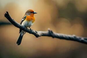 a small orange and white bird is sitting on a branch. AI-Generated photo