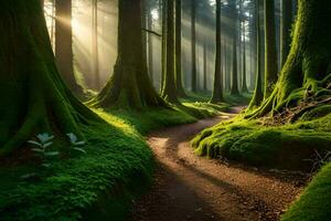 a path through a forest with mossy trees. AI-Generated photo