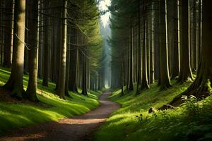 un camino mediante un bosque con alto arboles generado por ai foto