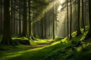 a path through a forest with sunlight shining through the trees. AI-Generated photo