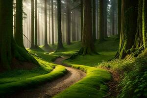 a path through a forest with trees and moss. AI-Generated photo