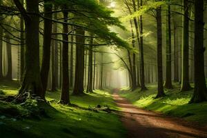 a path through a forest with trees and sunbeams. AI-Generated photo