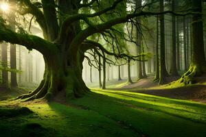 un grande árbol en el medio de un bosque. generado por ai foto