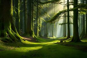 un bosque con arboles y luz de sol brillante a través de. generado por ai foto