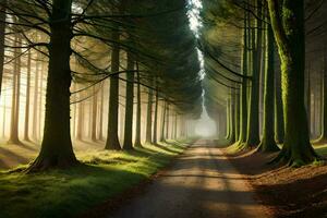 un la carretera mediante un bosque con arboles y niebla. generado por ai foto