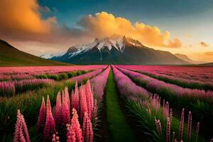 a field of purple flowers and mountains at sunset. AI-Generated photo