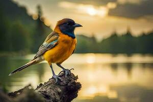 un vistoso pájaro es sentado en un Iniciar sesión cerca un lago. generado por ai foto