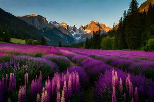 the lavender field in the mountains. AI-Generated photo