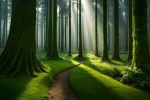 a path through a forest with trees and grass. AI-Generated photo