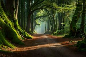 a dirt road in a green forest with trees. AI-Generated photo