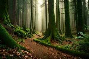 un camino mediante un bosque con cubierto de musgo arboles generado por ai foto