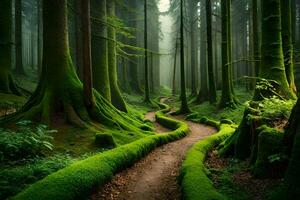a path through a green forest with mossy trees. AI-Generated photo