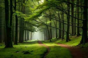 a path through a green forest with trees and trees. AI-Generated photo