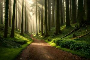 a dirt road in a forest with trees and sunbeams. AI-Generated photo