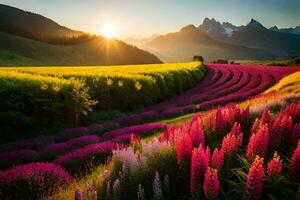 the sun rises over a field of pink flowers in the mountains. AI-Generated photo