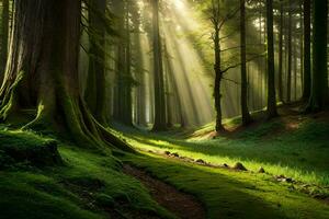 un bosque con luz de sol brillante mediante el arboles generado por ai foto