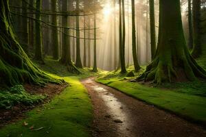 a path through a forest with mossy trees. AI-Generated photo