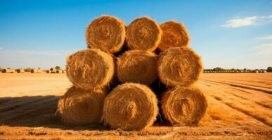 Freshly cut hay in rolls lying in a field - AI generated image photo