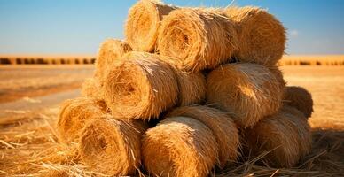 recién cortar heno en rollos acostado en un campo - ai generado imagen foto