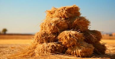 recién cortar heno en rollos acostado en un campo - ai generado imagen foto