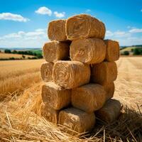 Freshly cut hay in rolls lying in a field - AI generated image photo