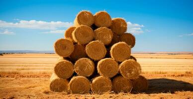 Freshly cut hay in rolls lying in a field - AI generated image photo