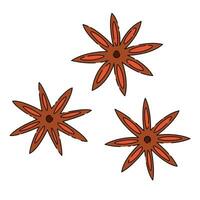 Star anise. Aromatic spice. Holiday aroma natural scent element. isolated on white background. vector