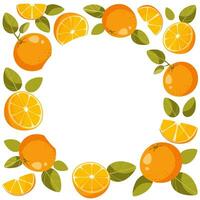 Frame of a whole orange with leaves and orange slices on a white background. A circle of empty space for text in the middle. Citrus background for orange products posters, cards. Vector illustration.