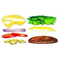 Burger ingredients, watercolor fastfood illustration. vector