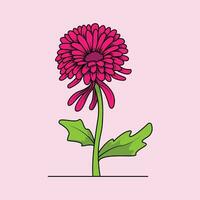 The Illustration of Chrysanthemums Flower vector