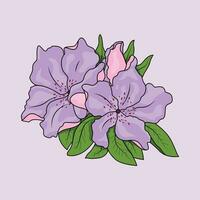 The Illustration of Azaleas Flower vector