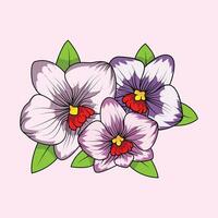 Orchid Flower The Illustration vector