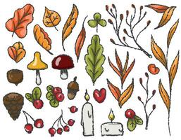 Autumn set of autumn elements on a transparent background, line drawn with a brush, for packaging and textile design. Vector graphics. Leaves, mushrooms, berries, candles, branches