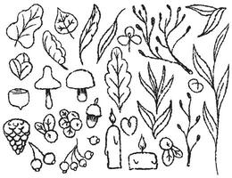Autumn set of autumn elements on a transparent background, line drawn with a brush, for packaging and textile design. Leaves, mushrooms, berries, candles, branches vector