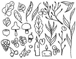 Autumn set of autumn elements on a transparent background, line drawn with a brush, for packaging and textile design. Leaves, mushrooms, berries, candles, branches vector