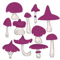 mushrooms in flat style with lines, colored mushrooms vector