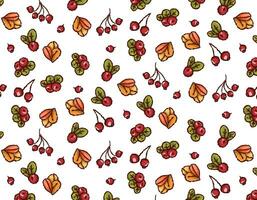 minimalistic pattern of autumn leaves, berries, on a transparent background, seamless pattern, simple design drawn with a brush, Vector