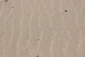 a small rock is sitting in the sand on a beach photo