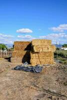 bales of hay stacked in a field photo