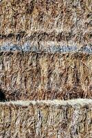 a stack of hay is shown in a field photo