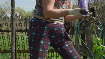 Elderly woman planting pepper seedlings in spring video