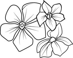 periwinkle flower sketch, clip art minimilist periwinkle flower outline, simple Catharanthus line drawings, simple periwinkle flower drawing, pencil sketch sadabahar flower drawing vector