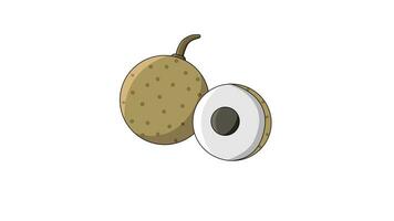 animated video of the longan fruit icon