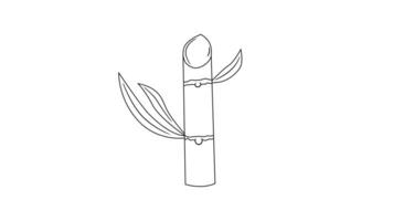 animated sketch of a sugar cane icon video