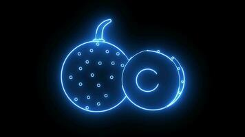 Animated longan fruit icon with a glowing neon effect video